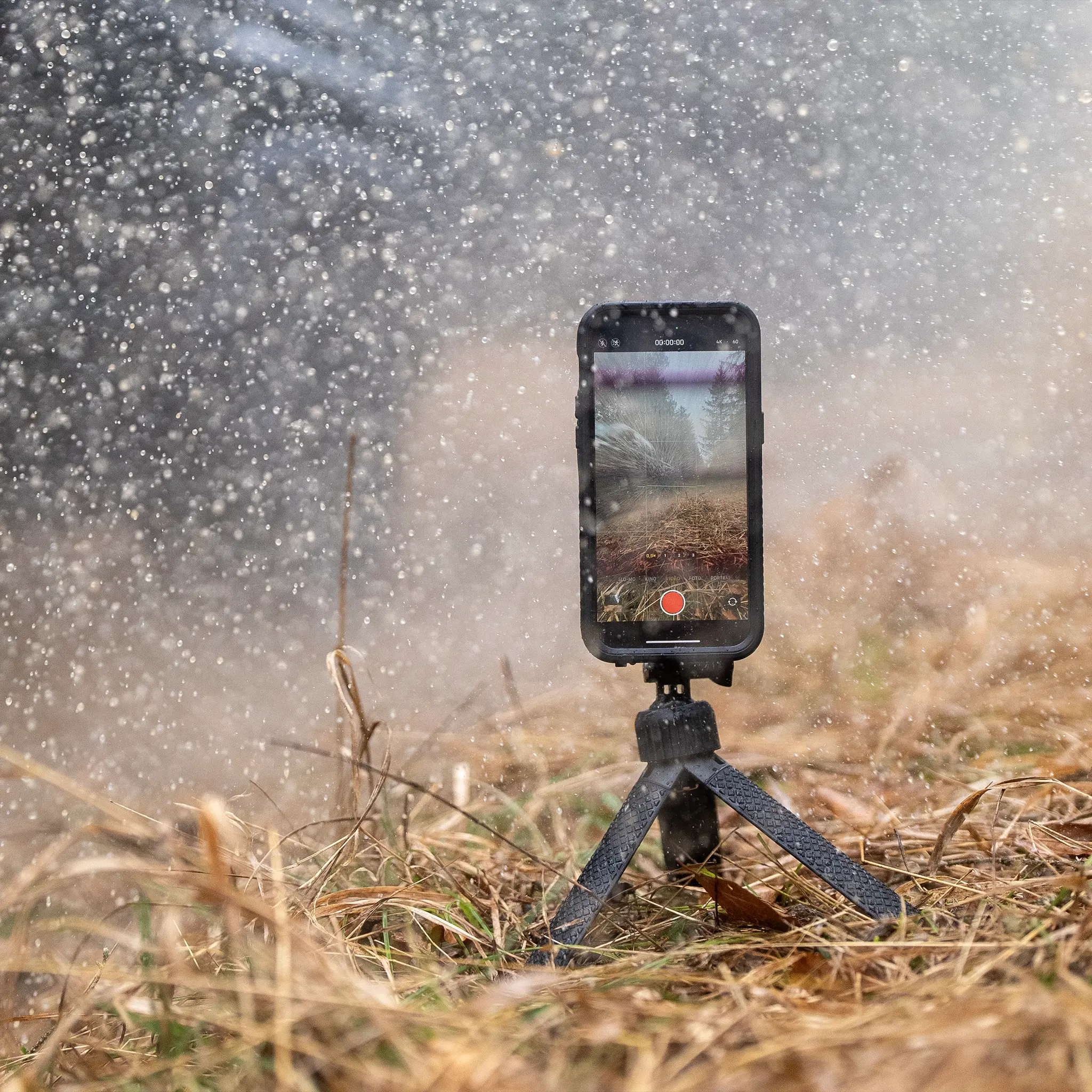 Phone Case - Samsung - Image 99